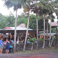 Aloha Tuesday Tours shuttles to Kava Bar