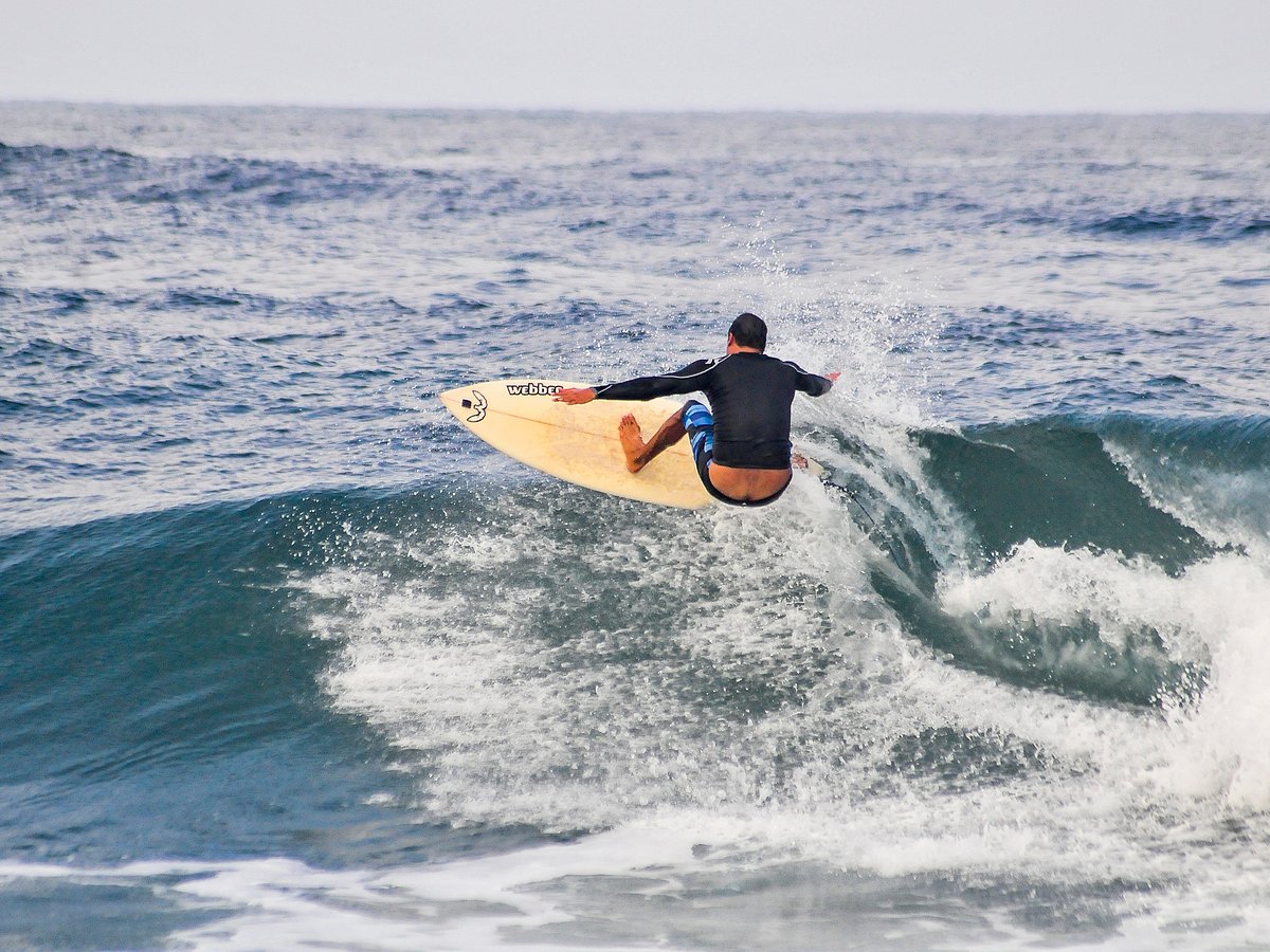 Ano Nuevo Surfing