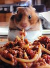 Foodie_Mouse
