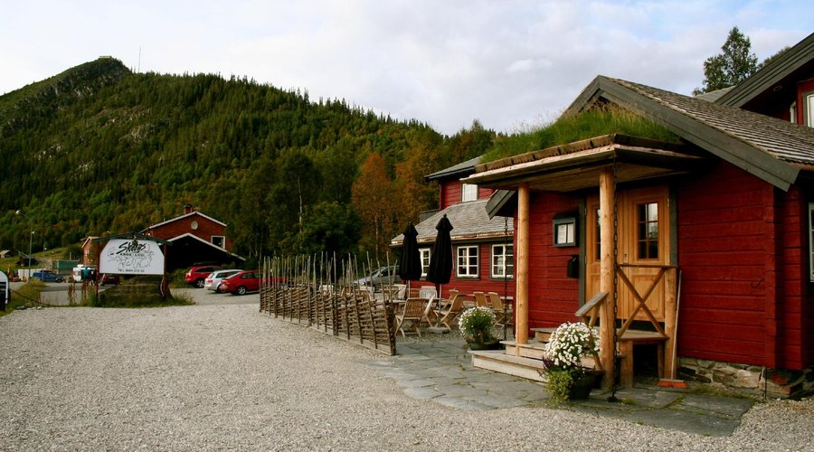 sommar på skoogs