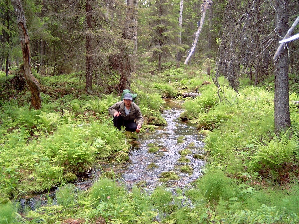 LAPLAND (Rovaniemi) 2023 Qué saber antes de ir Lo más