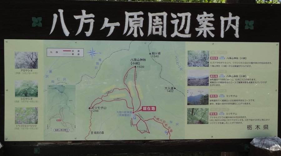 八方ヶ原