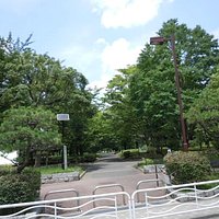 亀戸中央公園