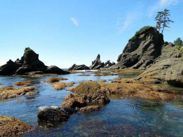 Shi Shi Beach image
