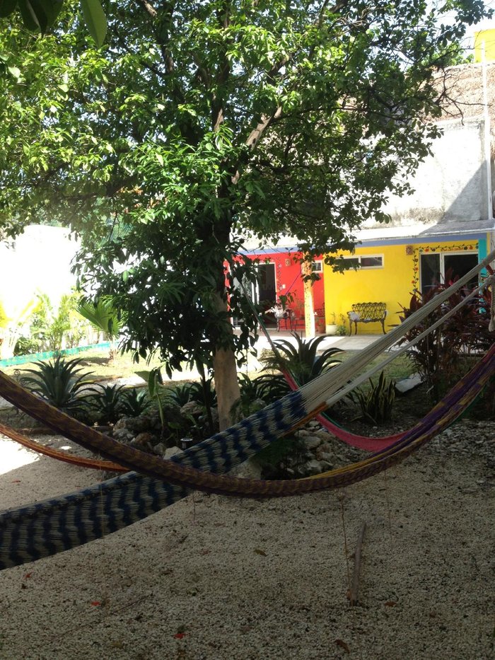 Imagen 9 de Hostel Quetzal