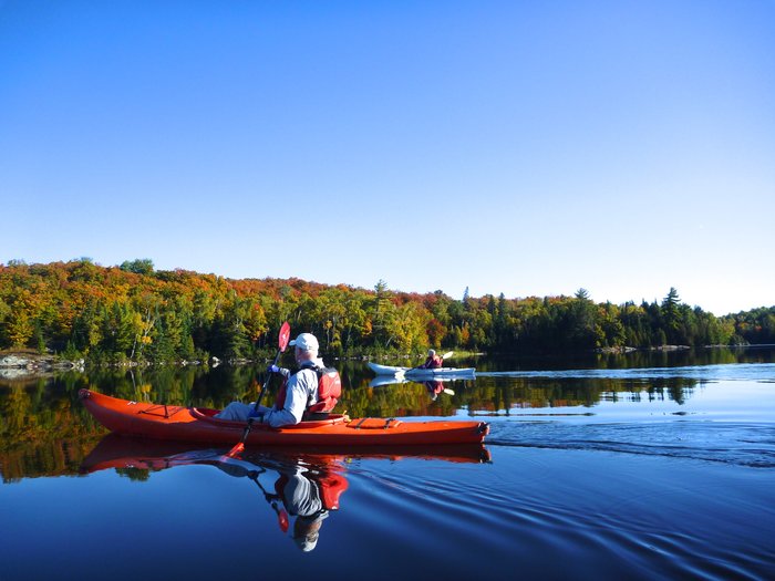 Hay Lake Lodge and Cottages Beach: Pictures & Reviews - Tripadvisor