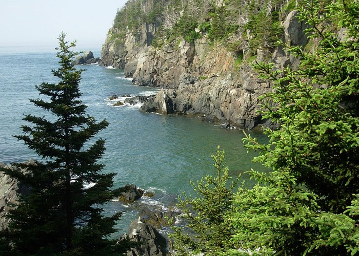 Quoddy Head Ocean view from Inland Trail