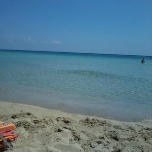 mare