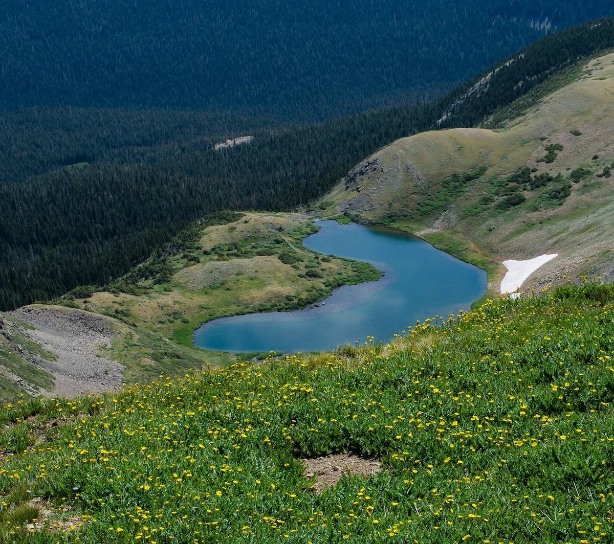 Wheeler Peak Wilderness Area (Taos County) - All You Need to Know BEFORE You Go