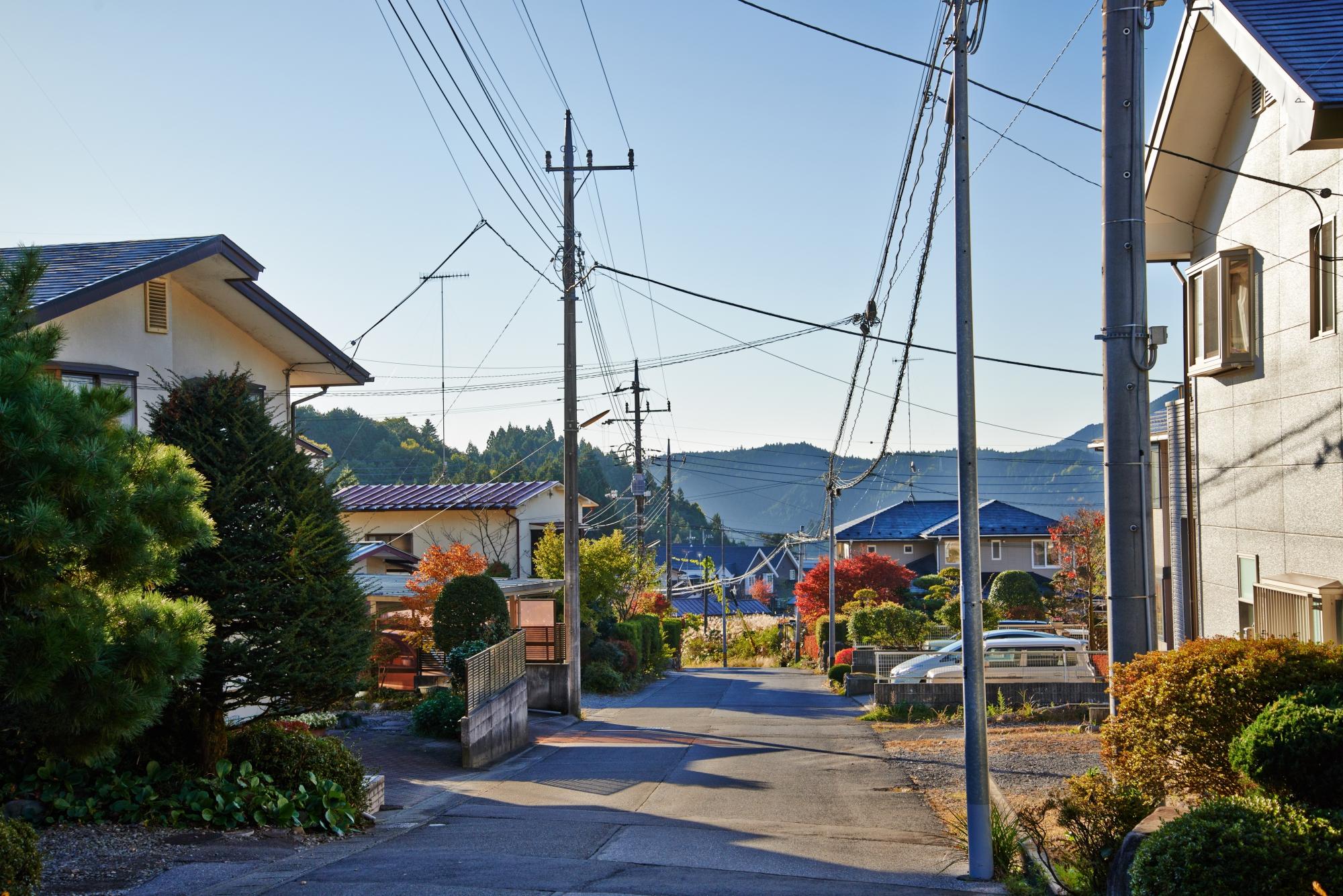 Minshuku Narusawa Lodge image