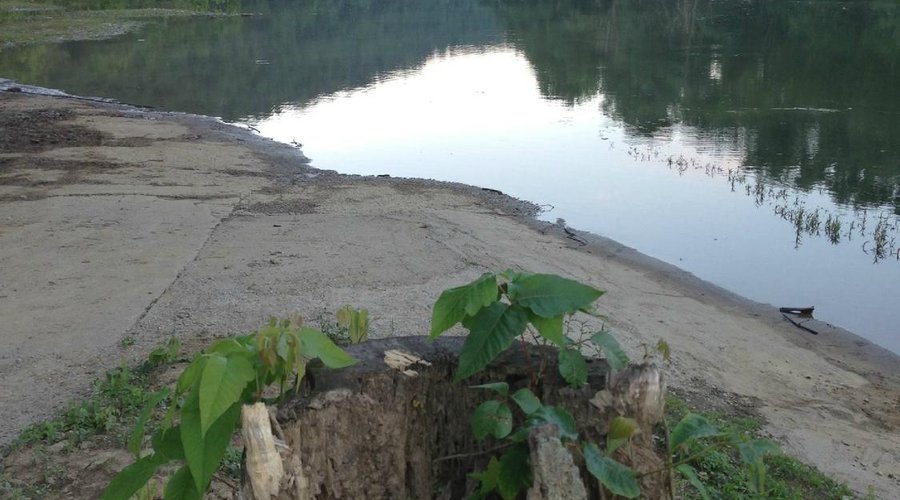 View of the river