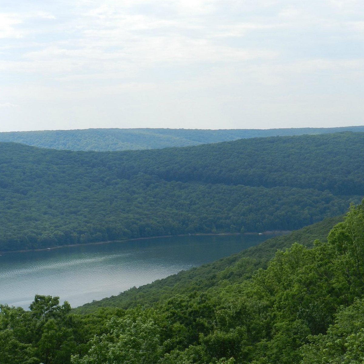 Allegheny Reservoir - All You Need to Know BEFORE You Go (2024)