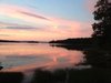 blondie-nh
