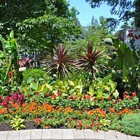 Beautiful gardens throughout the park