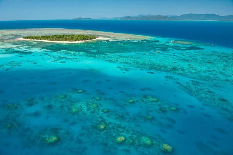 Big Cat Green Island Reef Cruises - Day Tour | Cairns | UPDATED January ...