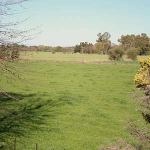 pradera