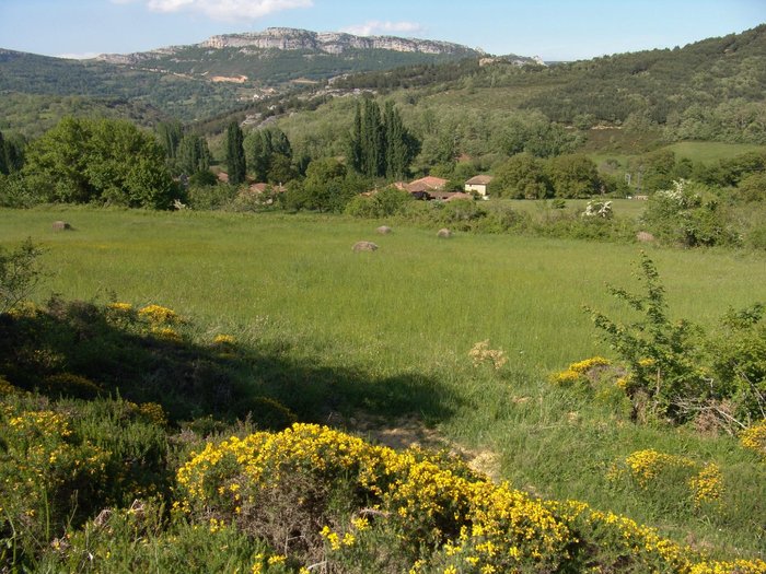 Imagen 9 de Hotel Rural La Gándara