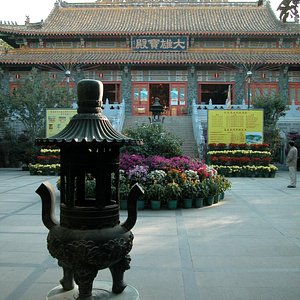 The Po Lin Monastery is another famous tourist attraction near the hostel.