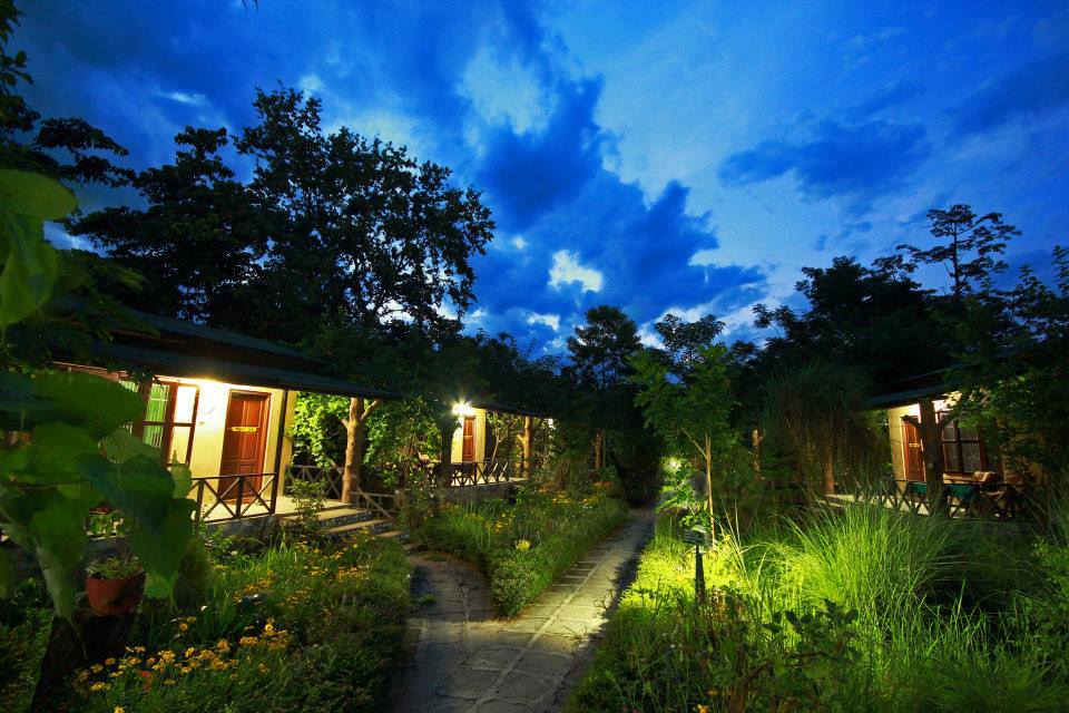 Chitwan Gaida Lodge image