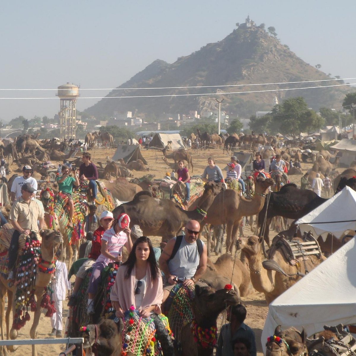 camel safari pushkar