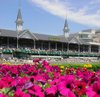 derbycitylady