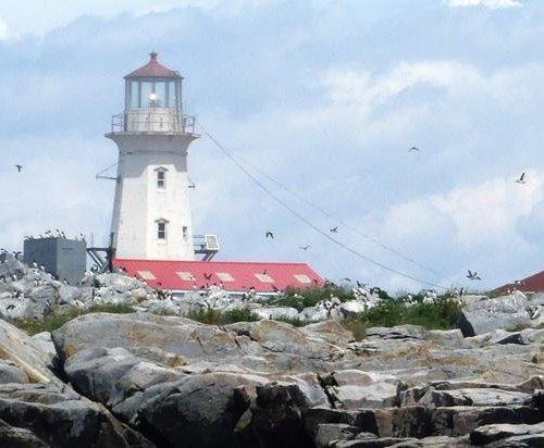 machias seal island lighthouse keeper salary