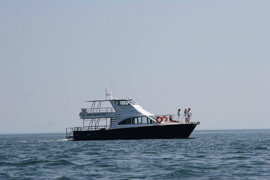 shearwater boat trip