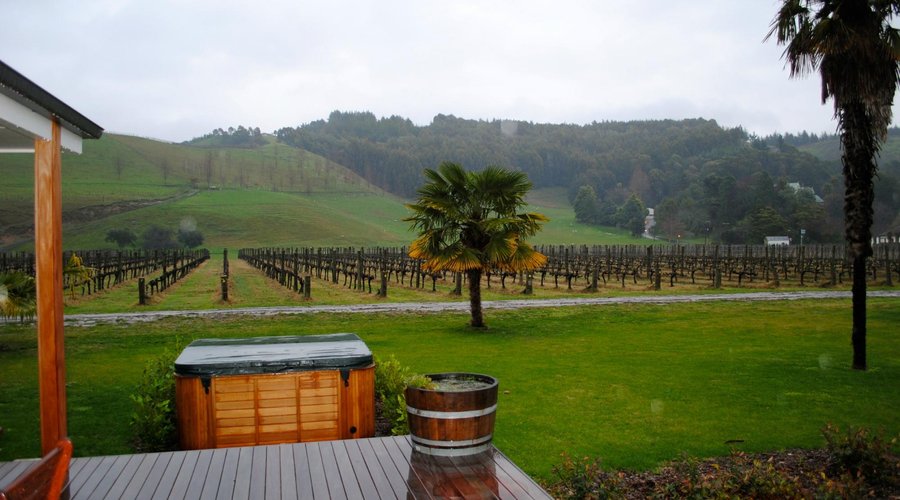 View from the deck
