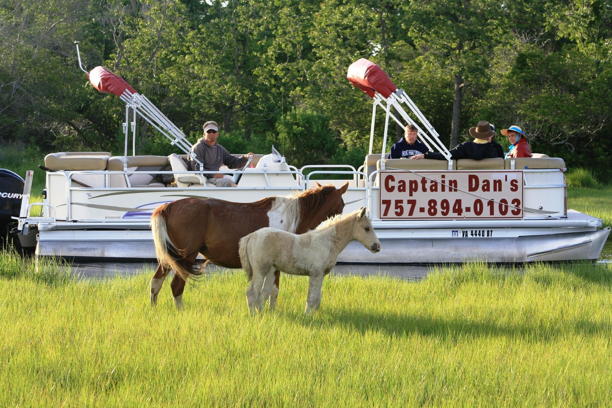 Captain Dan's Around the Island Tours (Chincoteague Island) All You