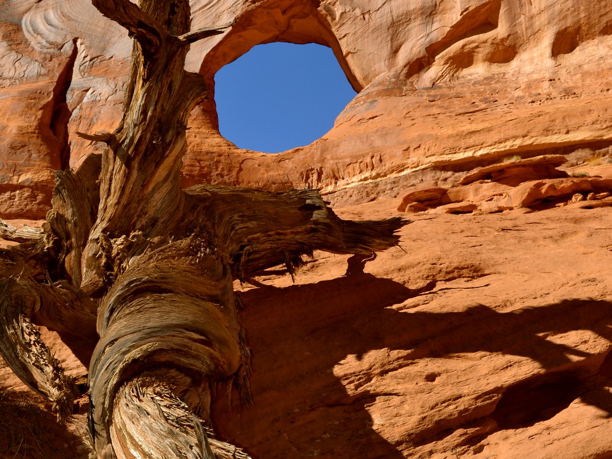 Majestic Monument Valley Touring Co., Моньюмент-Вэллей: лучшие советы перед  посещением - Tripadvisor