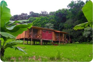 Habitación y suite