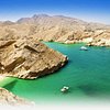 Things to do in Musandam Governorate, Musandam Governorate: The Best Dolphin & Whale Watching