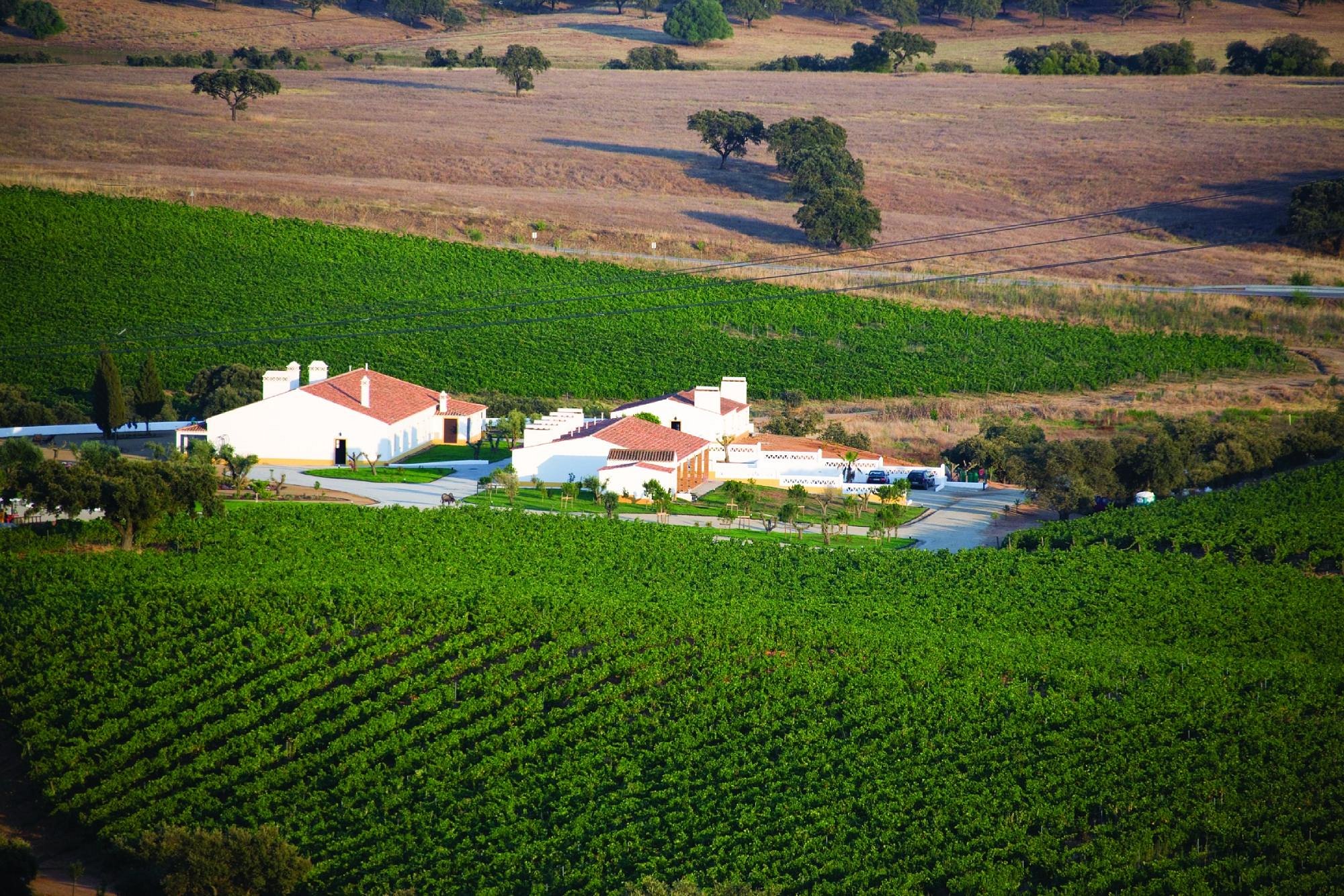 Bike Tours Portugal (Lisbon) All You Need to Know BEFORE You Go