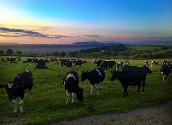 the view from Cappagh Cross house for sale on the road into Ballyhooly. Breathtaking!!