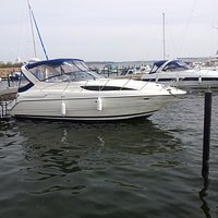 Fed Bayliner