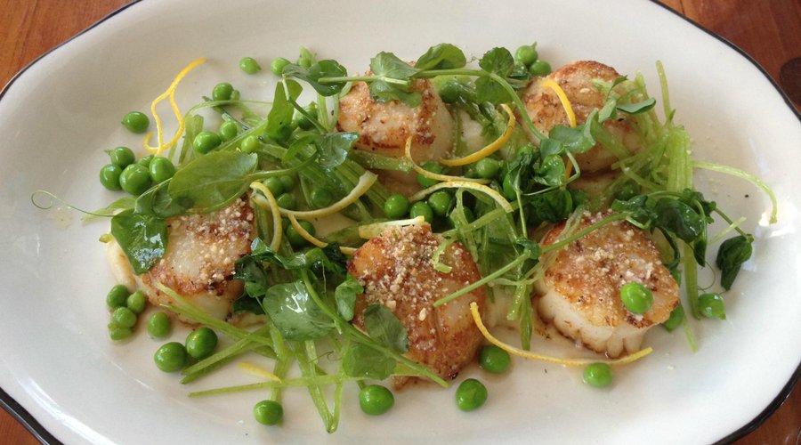 Scallops