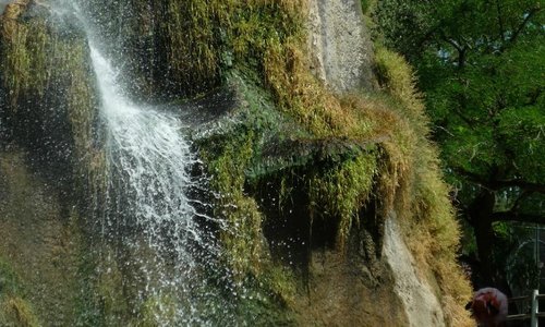 La Palmyre