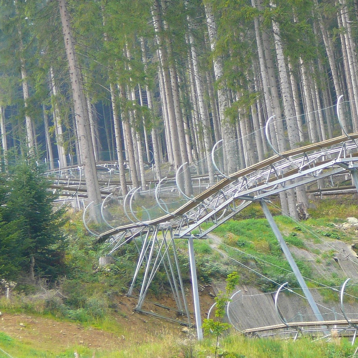Sommerrodelbahn Rittisberg Coaster - All You Need to Know