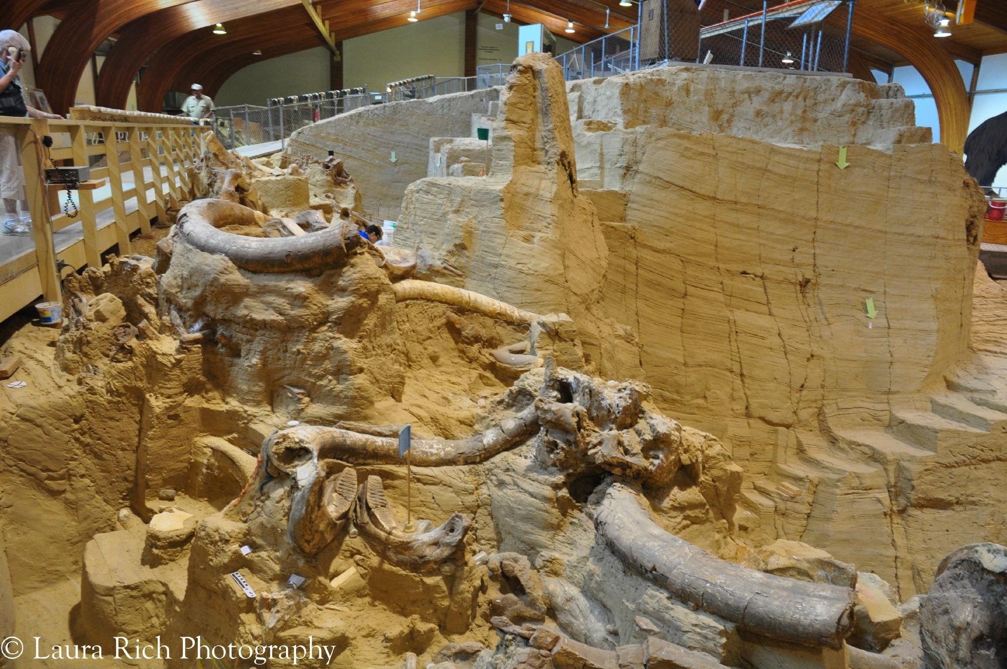 THE MAMMOTH SITE OF HOT SPRINGS 2022 What To Know BEFORE You Go   Mammoth Site Of Hot Springs 