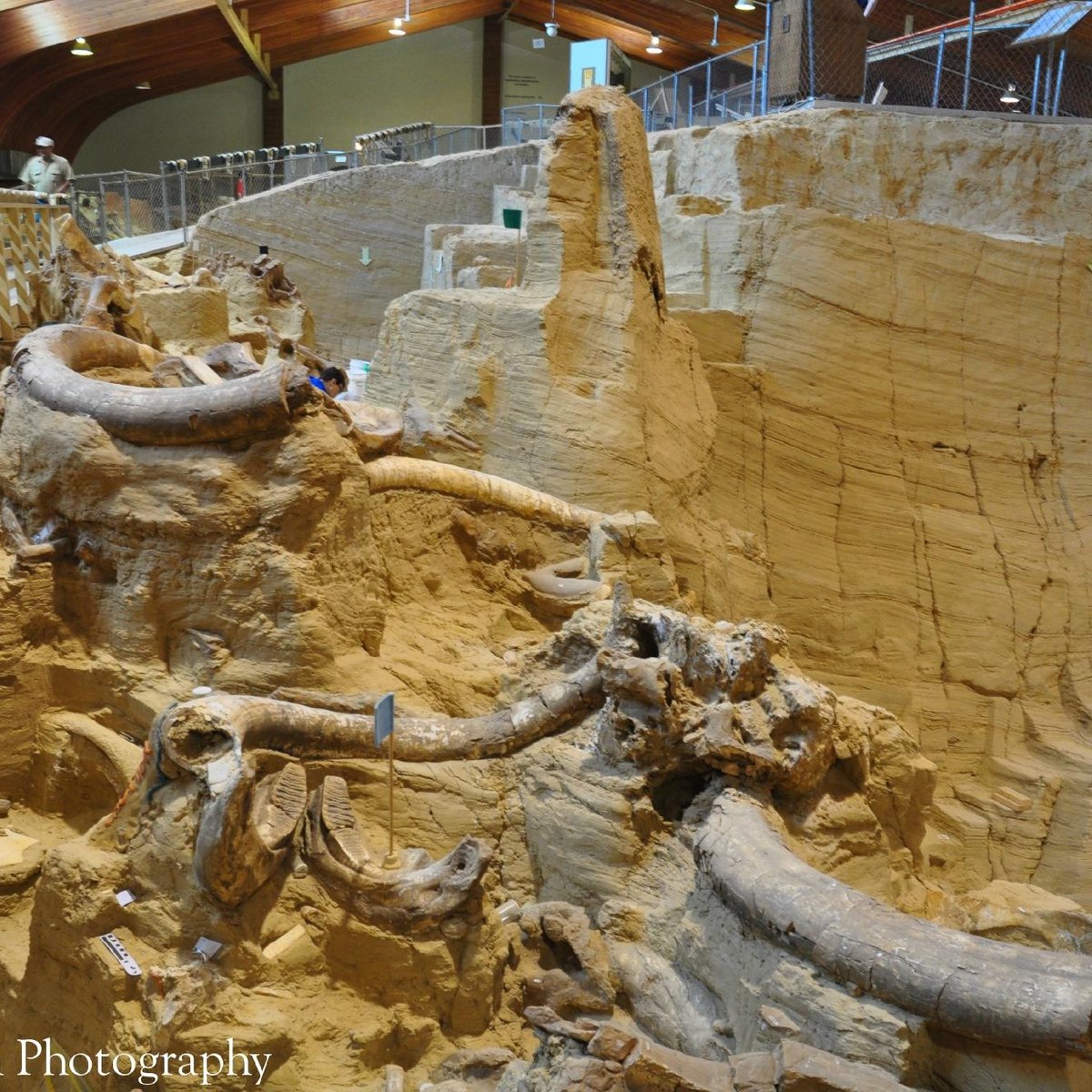 The Mammoth Site of Hot Springs - 2022 Lohnt es sich? (Mit fotos)