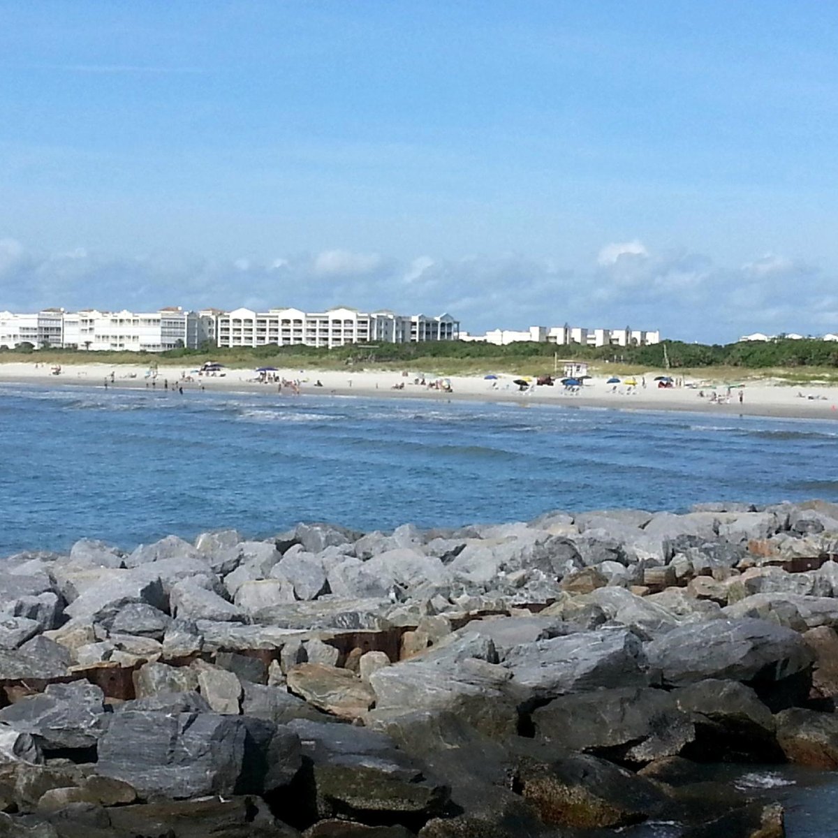 are dogs allowed on the beach in cape canaveral