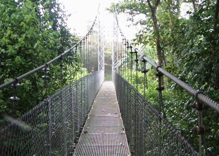 Puentes Colgantes