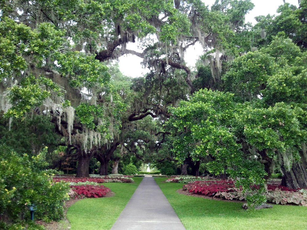 DIE TOP 10 Sehenswürdigkeiten in South Carolina 2024 (mit fotos ...