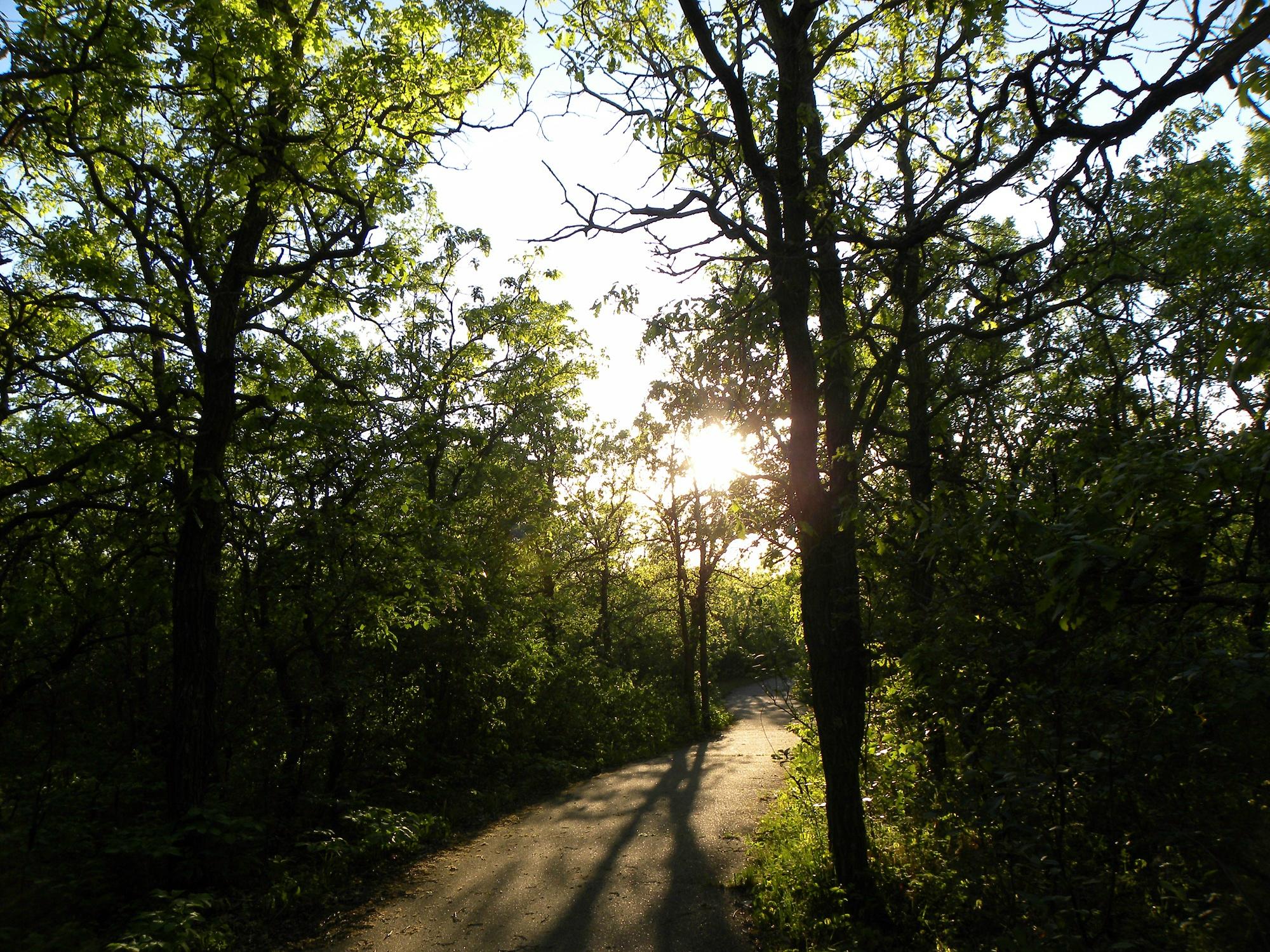 Birds hill hot sale bike trails