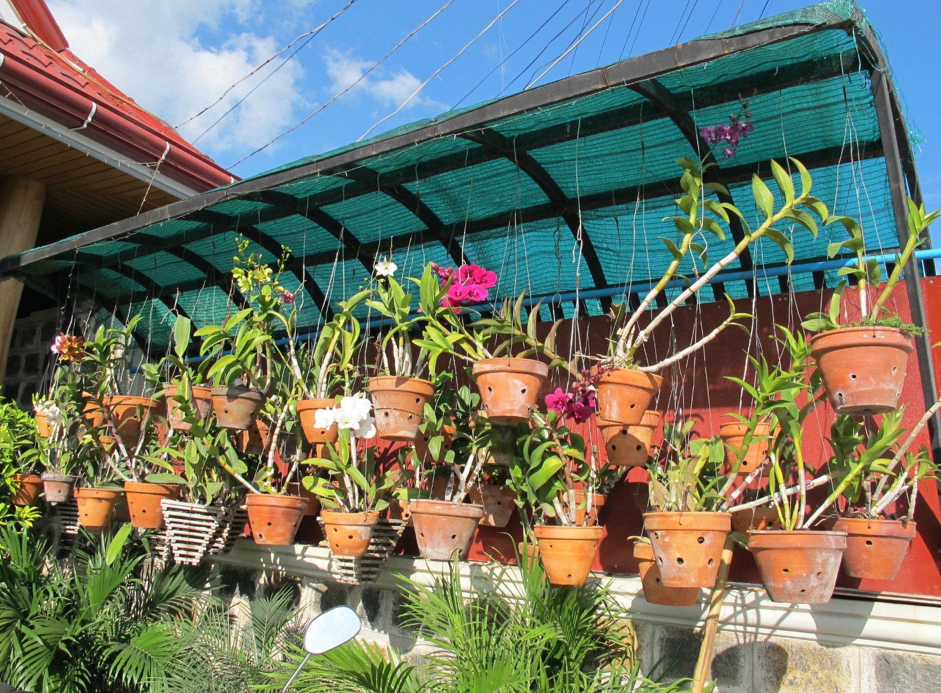 Cherry Queen Hotel & Restaurant image