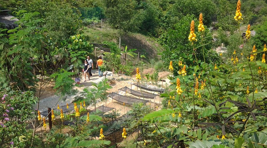 Vegetable & Fruit Farm
