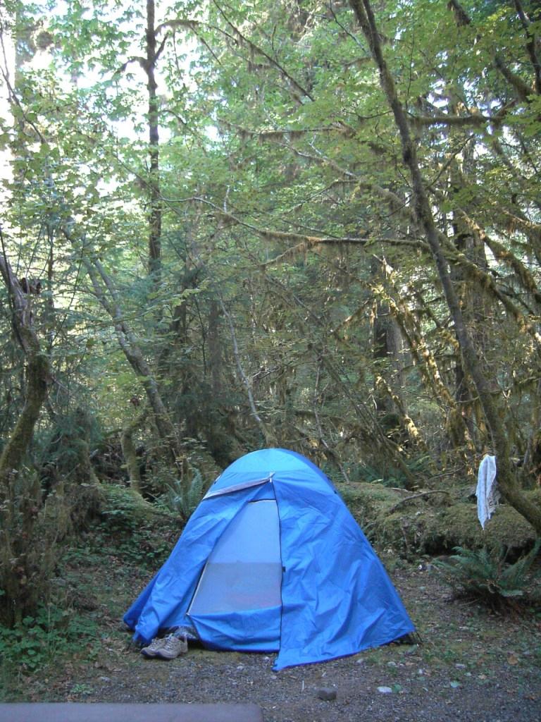 Hoh river outlet camping