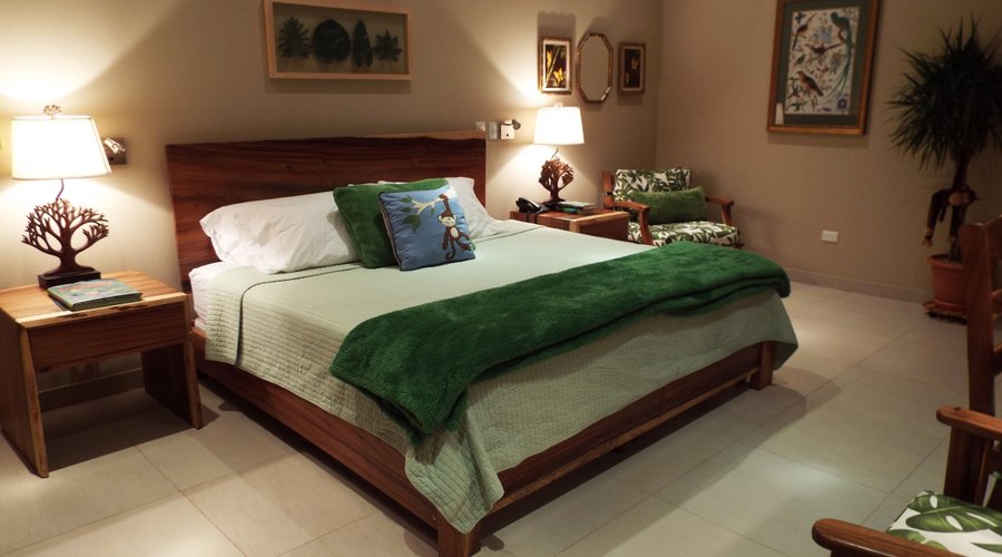 2nd Floor Rain Forest Room, 1 King Bed
