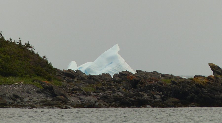 Iceberg nearby