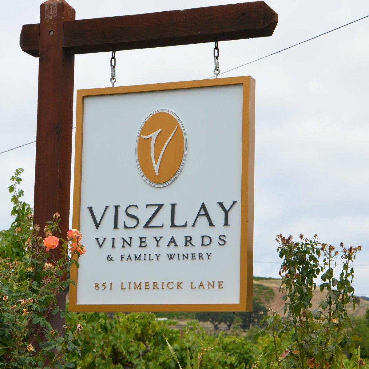 VISZLAY VINEYARDS (Healdsburg) - All You Need to Know BEFORE You Go